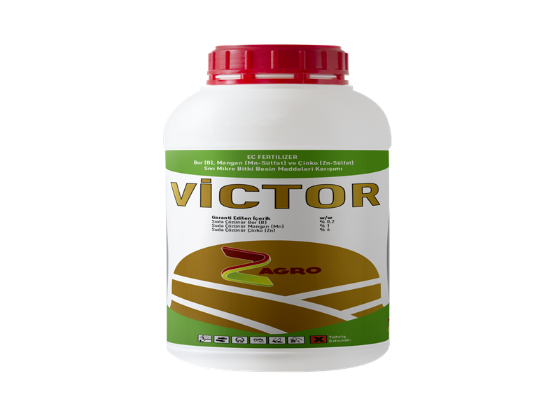 VİCTOR