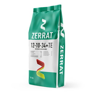 ZERRAT 12-10-34+TE