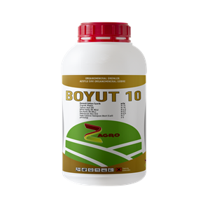 BOYUT 10