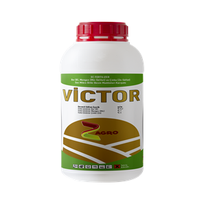 VİCTOR